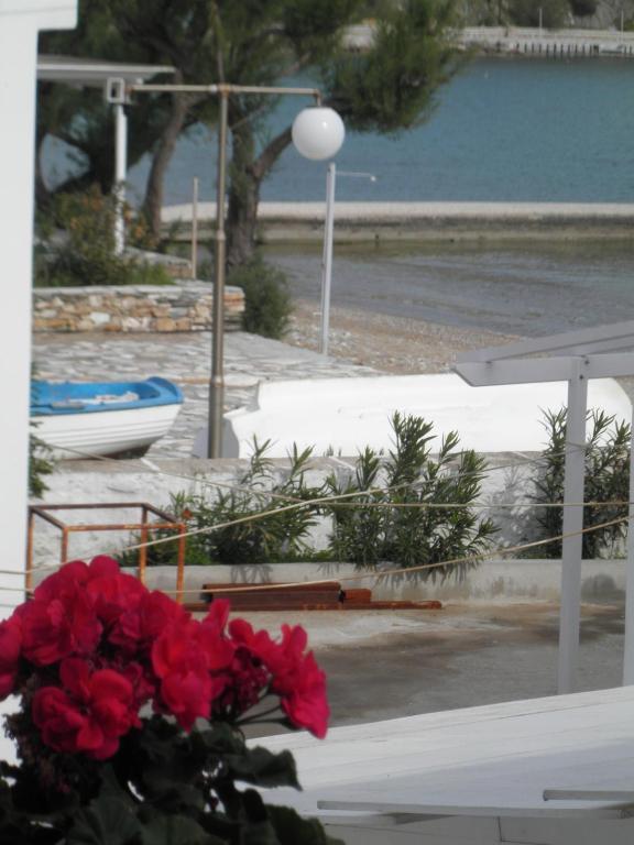 Pension Moschoula Platis Gialos  Стая снимка